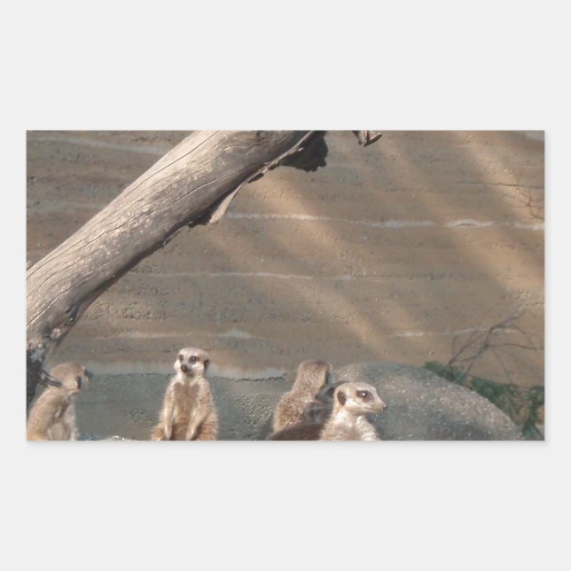 Animals  Wild  Mammals Meerkat Rectangular Sticker (Front)