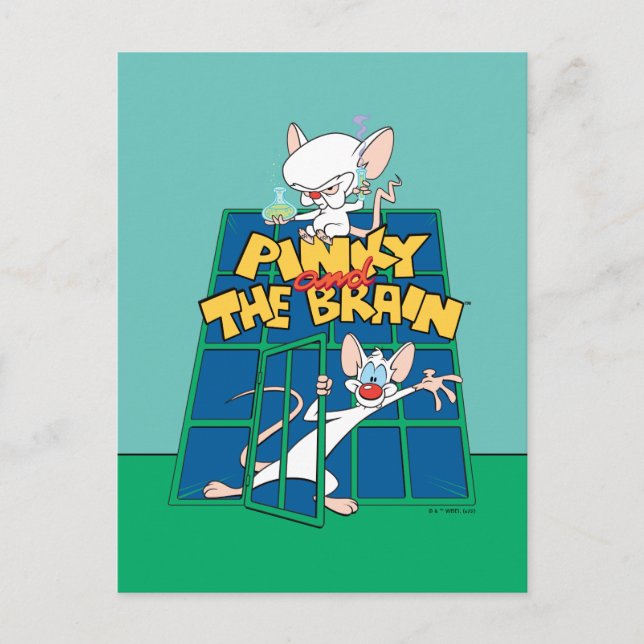 Animaniacs | Pinky and The Brain Cage Graphic Postcard (Front)