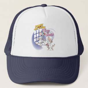 Animaniacs Take Over The World Graphic Trucker Hat