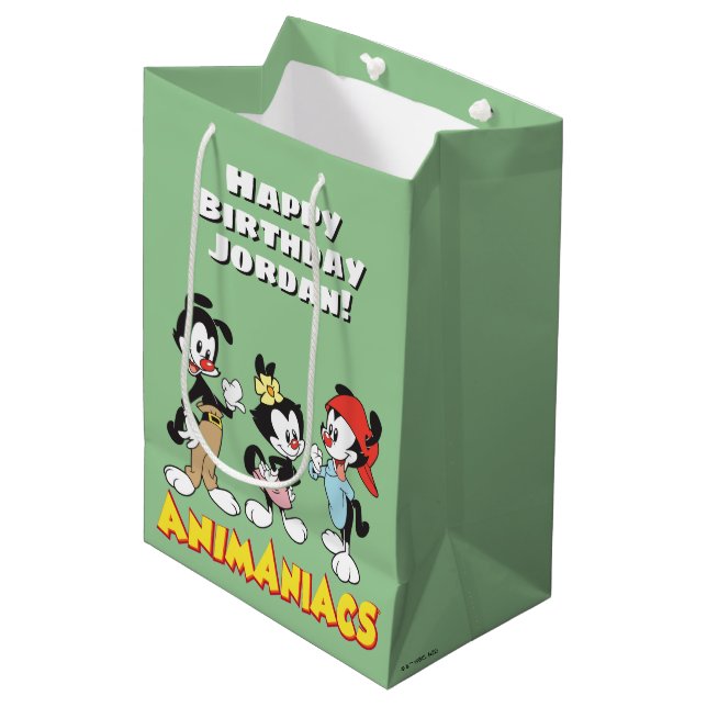 Animaniacs | Yakko, Dot, and Wakko Standing Medium Gift Bag (Front Angled)
