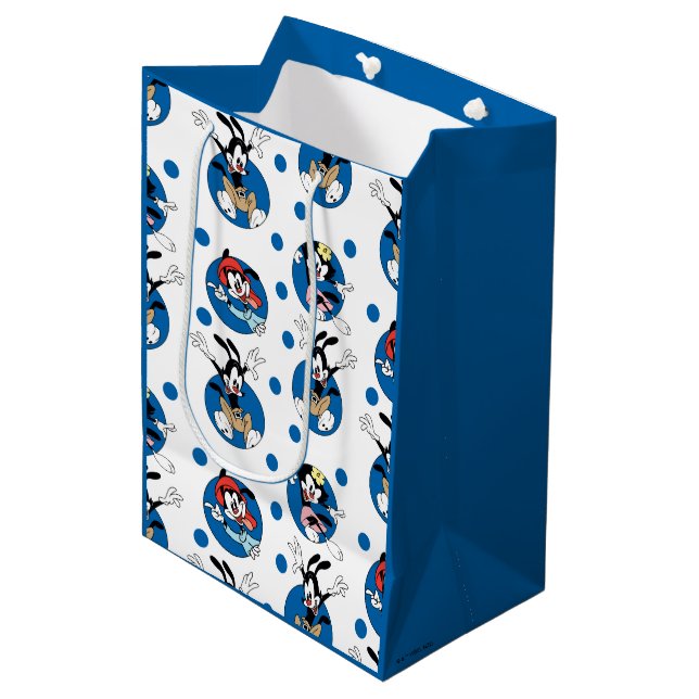 Animaniacs | Yakko, Wakko, & Dot Circle Pattern Medium Gift Bag (Front Angled)