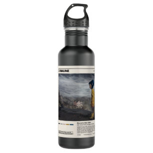 Animation Movie 710 Ml Water Bottle