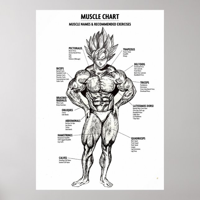 Anime Anatomy Diagram, Muscle Chart - Motivational (Front)