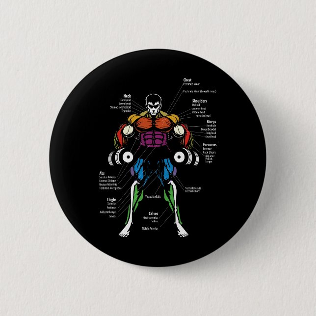 Anime Anatomy Muscle Chart  6 Cm Round Badge (Front)