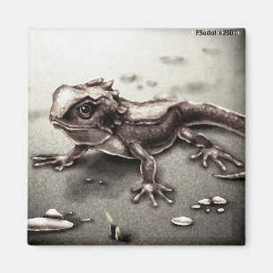 ANIML0017 Lizard Magnet