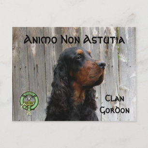 Animo Non Astutia, Gordon Setter Postcard