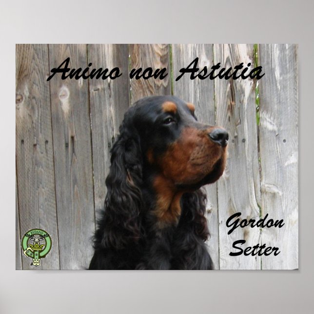 Animo non Astutia, Gordon Setter Poster (Front)
