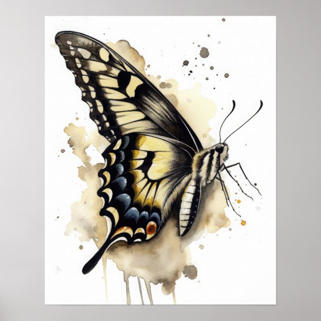 Anise Swallowtail Butterfly Art Print Poster (Front)