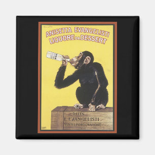 Anisetta Evangelisti Vintage Liquor Ad Magnet
