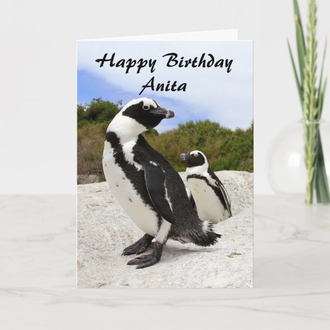 Anita Happy Birthday African Penguins Humour Card (Front)