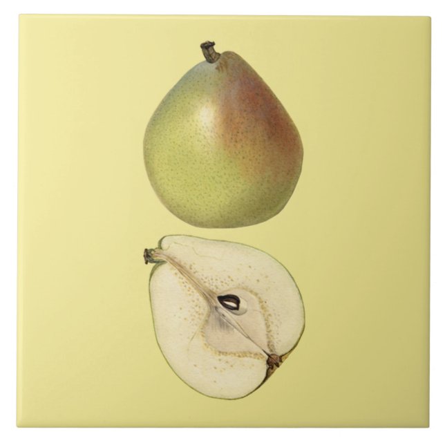 Anjou Pear Botanical Tile ~ Kitchen ~ Any Colour ~ (Front)