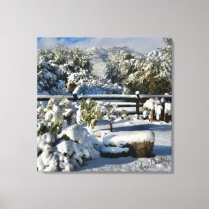 Ann Charles Snowy Day in Arizona Canvas Print