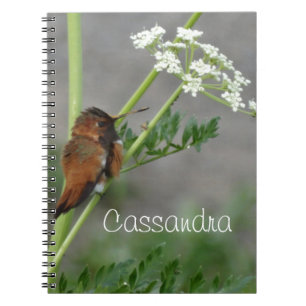 Ann"s Lace and bird Spiral Notebook