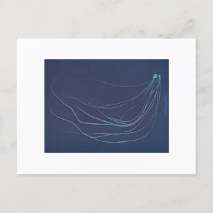 Anna Atkins: Botanical Cyanotype Postcard