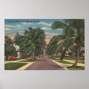 Anna Maria, Florida - View of Palms Along Street Poster