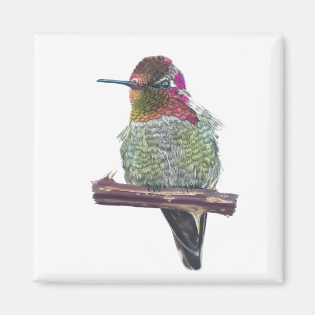 Anna’s Hummingbird Magnet (Front)