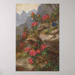Anna Stainer-Knittel Vintage Alpine Flowers Poster