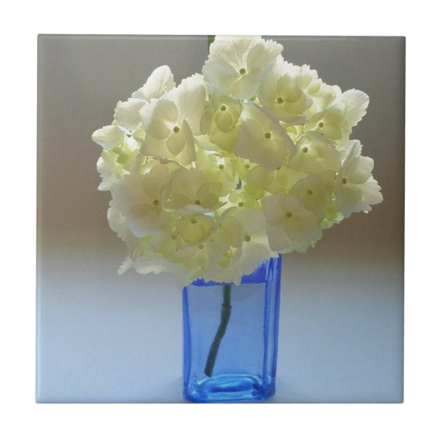 annabelle hydrangea tile (Front)