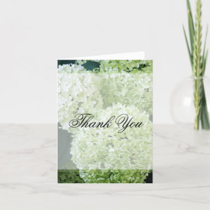 Annabelle Hydrangeas Thank You