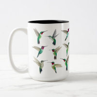 Anna's and Broad-tailed Hummingbirds