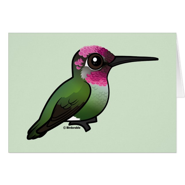 Anna's Hummingbird (Front Horizontal)