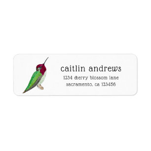 Anna's Hummingbird