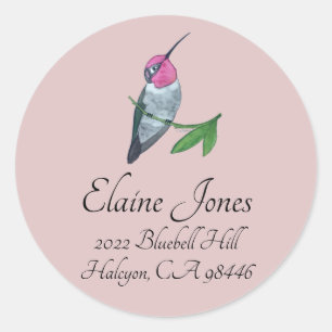 Anna's Hummingbird Classic Round Sticker