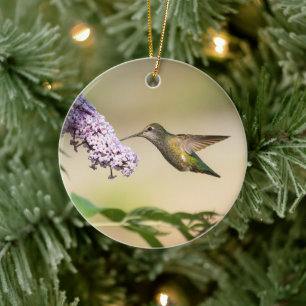 Anna's Hummingbird Holiday Gift Ceramic Tree Decoration