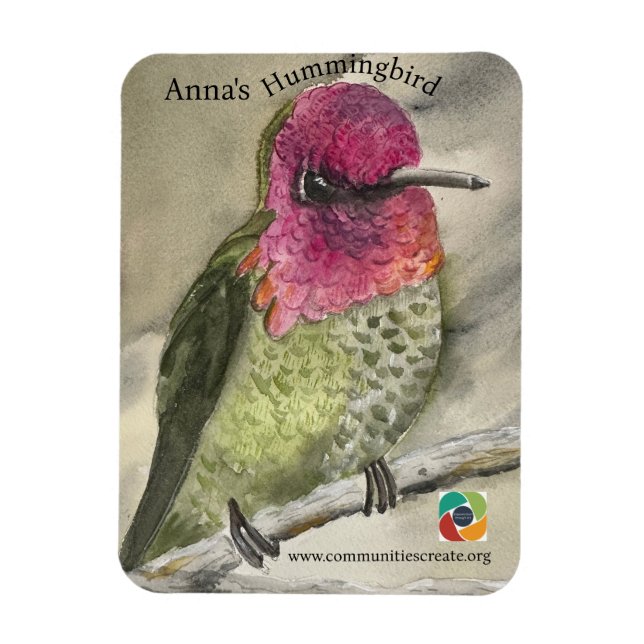 Anna's Hummingbird magnet (Vertical)