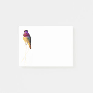 Anna's Hummingbird Photo 4x3 Notepad