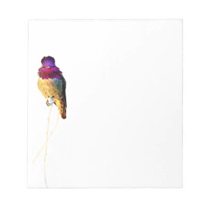 Anna's Hummingbird Photo Notepad