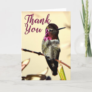 Anna's Hummingbird Photo Thank You Card