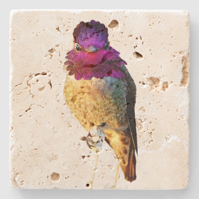 Anna's Hummingbird Pink Bird Photo Stone Coaster (Front)