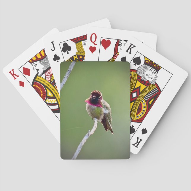 Anna's Hummingbird Playing Cards (Back)
