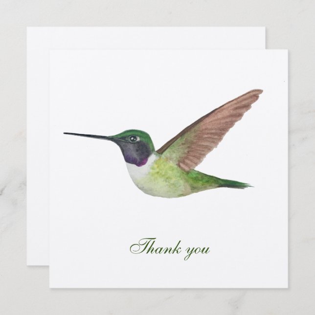 Anna's Hummingbird Thank You Card (Front/Back)