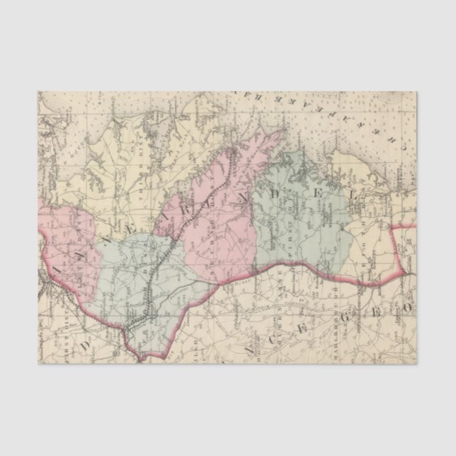 Anne Arundel Tissue Paper (Front)