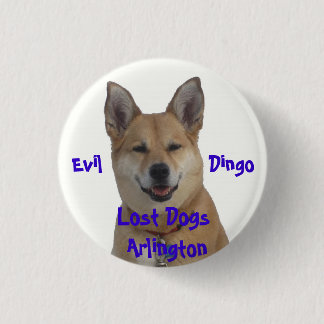 annie1234, Lost Dogs Arlington, Evil           ... 3 Cm Round Badge