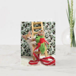 Annie and the Elf - Cat / Kitten Christmas Card