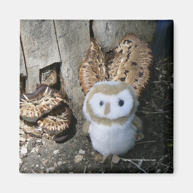 Annie & Mushrooms Magnet (Front)