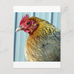 Annie Postcard