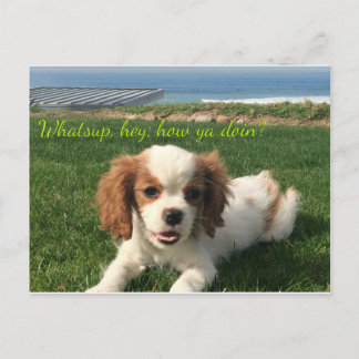 Annie the Queen, Greeting Card
