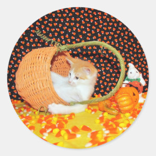 Annie's Basketful of Fun Cat Halloween Stickers