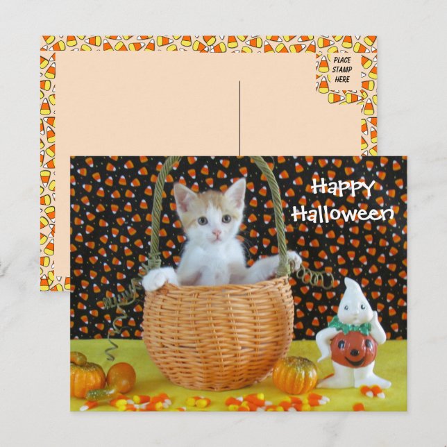 Annie's Halloween Basket Cat /Kitten  Postcard (Front/Back)