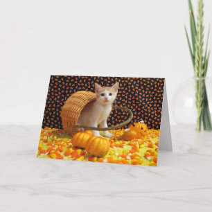 Annie's Sweet Cat / Kitten Halloween Card