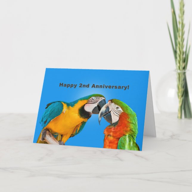 Anniversary, 2nd, Loving Parrots Card (Front)