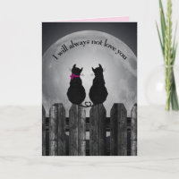 Anniversary Black Cats and Moon