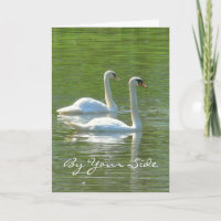 ANNIVERSARY ,"BY YOUR SIDE", TWO WHITE SWANS,