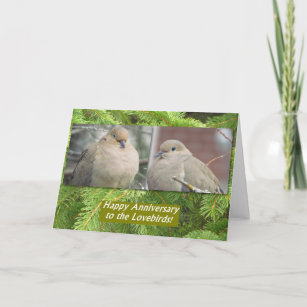 Anniversary card with mourning dove lovebirds