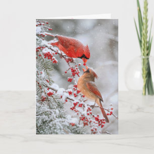 Anniversary Cardinals with Red Berries in Winter Card