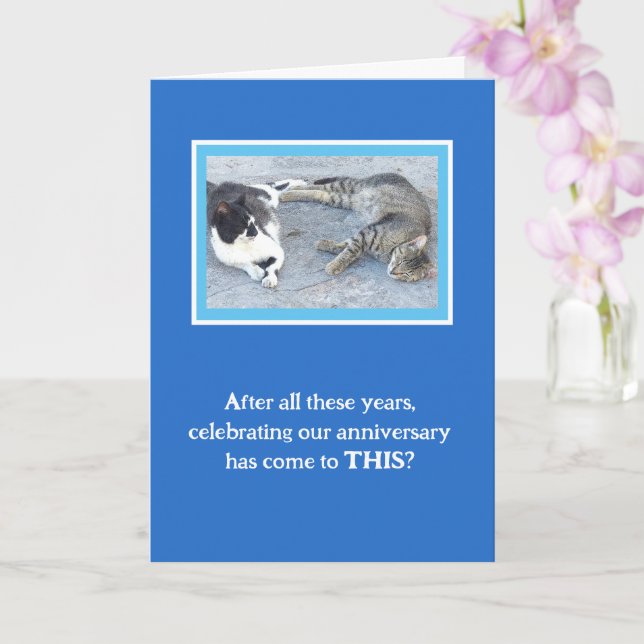 ANNIVERSARY CONTENTMENT/TWO SLEEPY CATS/ HUMOR CARD (Orchid)